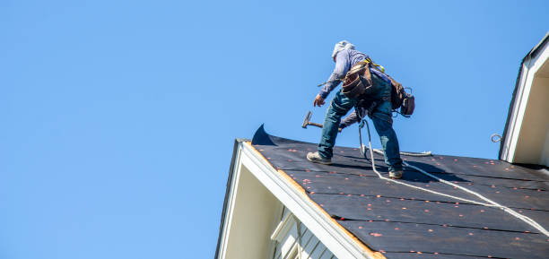 Roof Gutter Cleaning in Brookside, AL